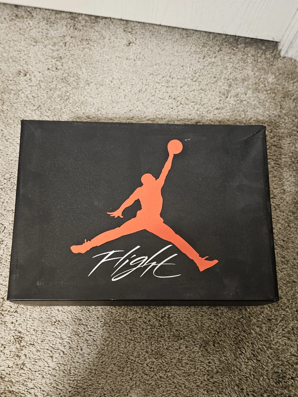 Retro Jordan 4's Fire Red